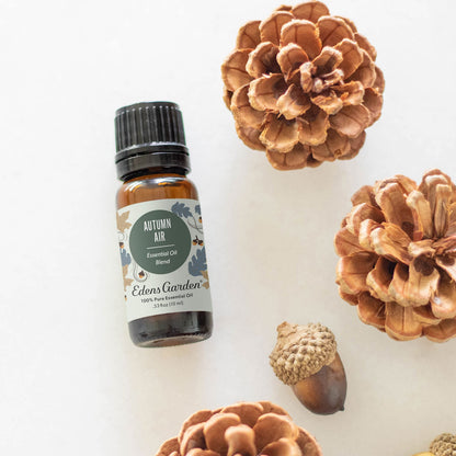 Edens Garden Autumn Air Essential Oil Blend - 100% Pure Premium Grade (10 ml)