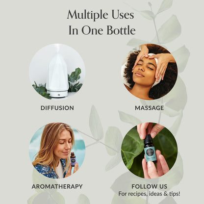Edens Garden Blue Tansy Essential Oil – 100% Pure, Premium Grade, 30 ml