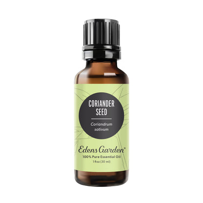 Edens Garden Coriander Seed Essential Oil – 100% Pure, Premium Grade, 30ml