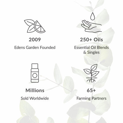 Edens Garden Cumin Essential Oil – 100% Pure, Premium Grade, 30 ml