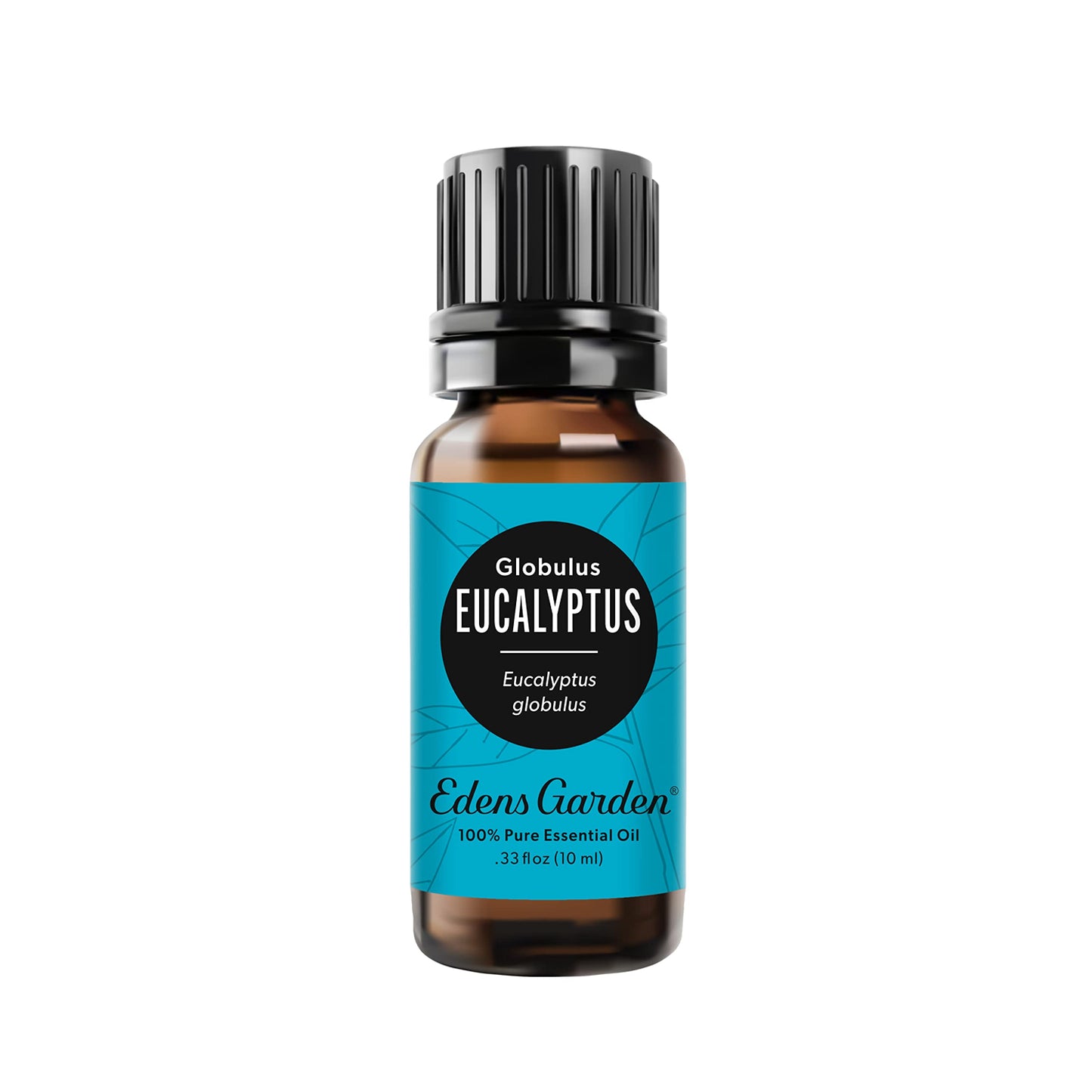 Edens Garden Eucalyptus Globulus Essential Oil - 100% Pure Premium Grade, 10 ml