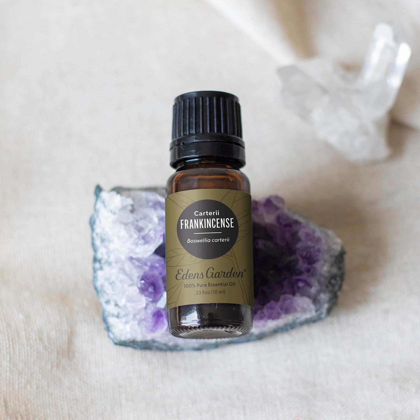 Edens Garden Frankincense Carterii Essential Oil – 100% Pure, Premium Grade, 10 ml