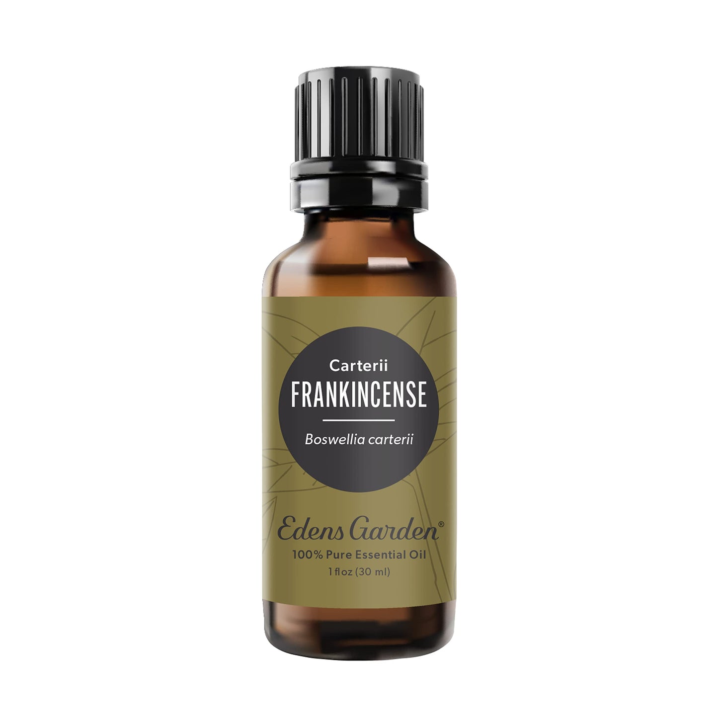 Edens Garden Frankincense Carterii Essential Oil – 100% Pure Therapeutic Grade, 30 ml