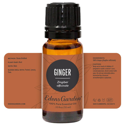 Edens Garden Ginger Essential Oil – 100% Pure, Premium Grade, 10 ml