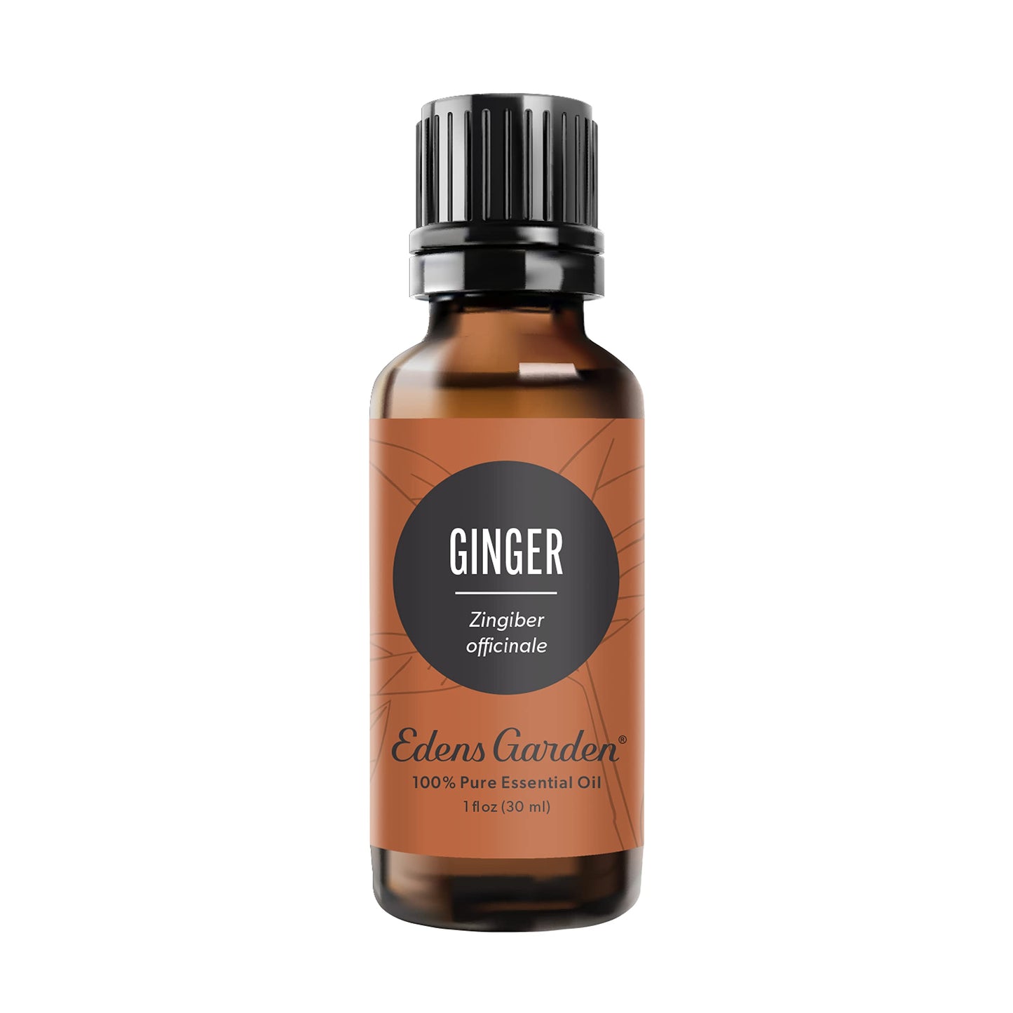 Edens Garden Ginger Essential Oil – 100% Pure Premium Grade, Undiluted (30 ml) | Aromatherapy, Diffuser, Skin, Kid Safe