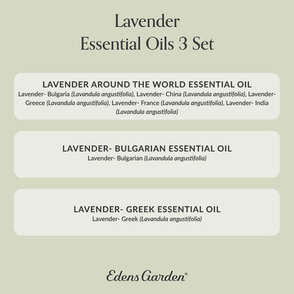 Edens Garden Lavender Essential Oils 3 Set – 100% Pure Therapeutic Grade, 10 ml