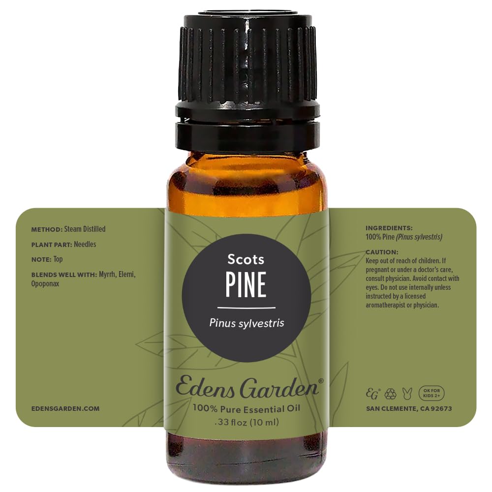 Edens Garden Pine-Scots Essential Oil – 100% Pure, Premium 10 ml