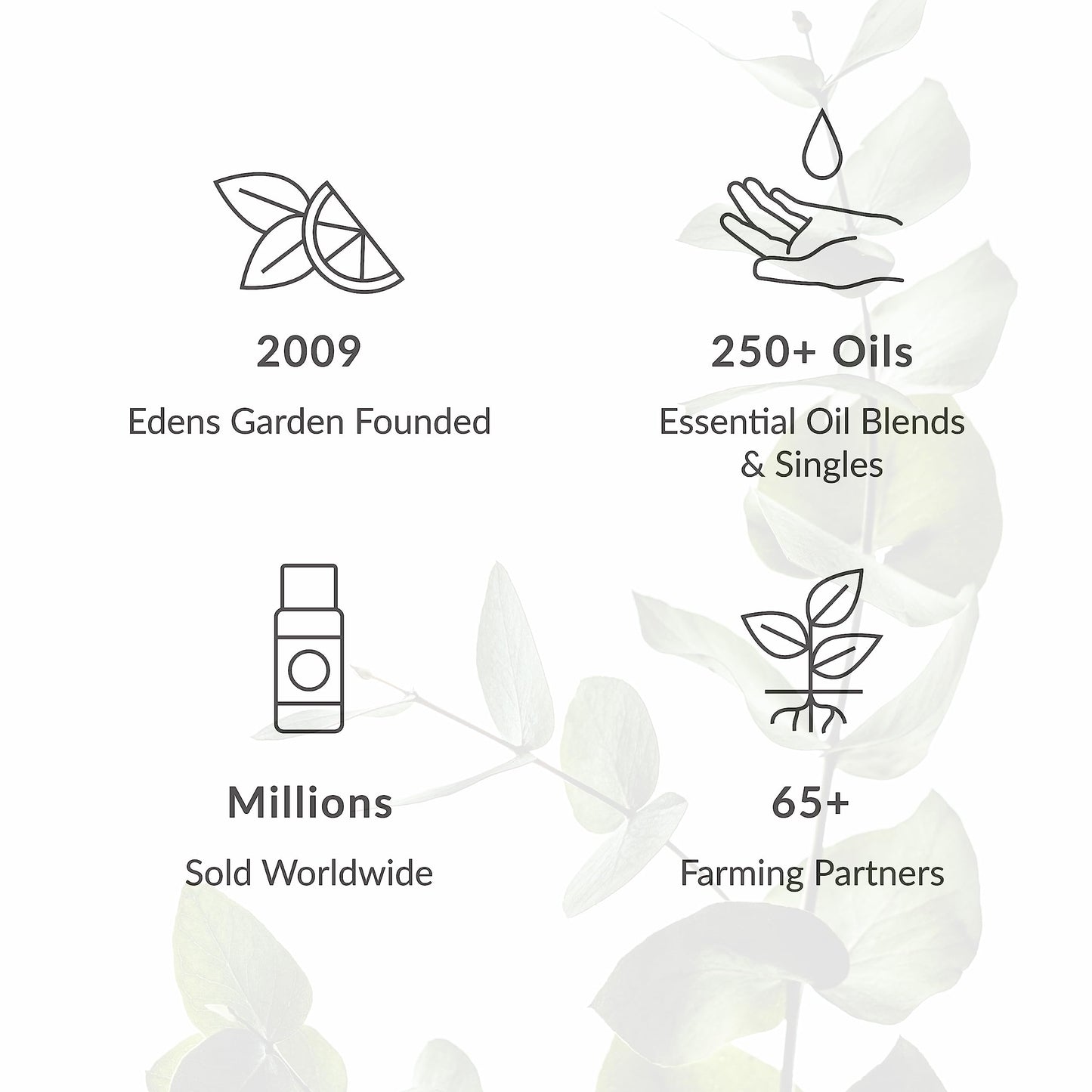 Edens Garden Spring Essential Oils 3-Set – 10 ml x 3, Therapeutic Grade, Undiluted Aromatherapy