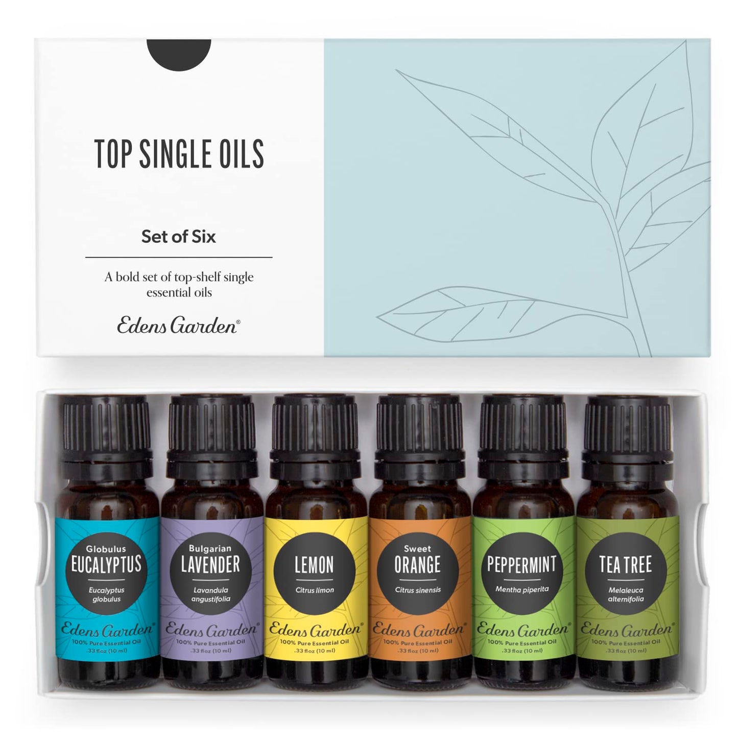 Edens Garden Top Essential Oils 6 Set – 100% Pure Therapeutic Grade, Undiluted (10 ml each)