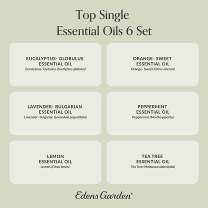 Edens Garden Top Essential Oils 6 Set – 100% Pure Therapeutic Grade, Undiluted (10 ml each)