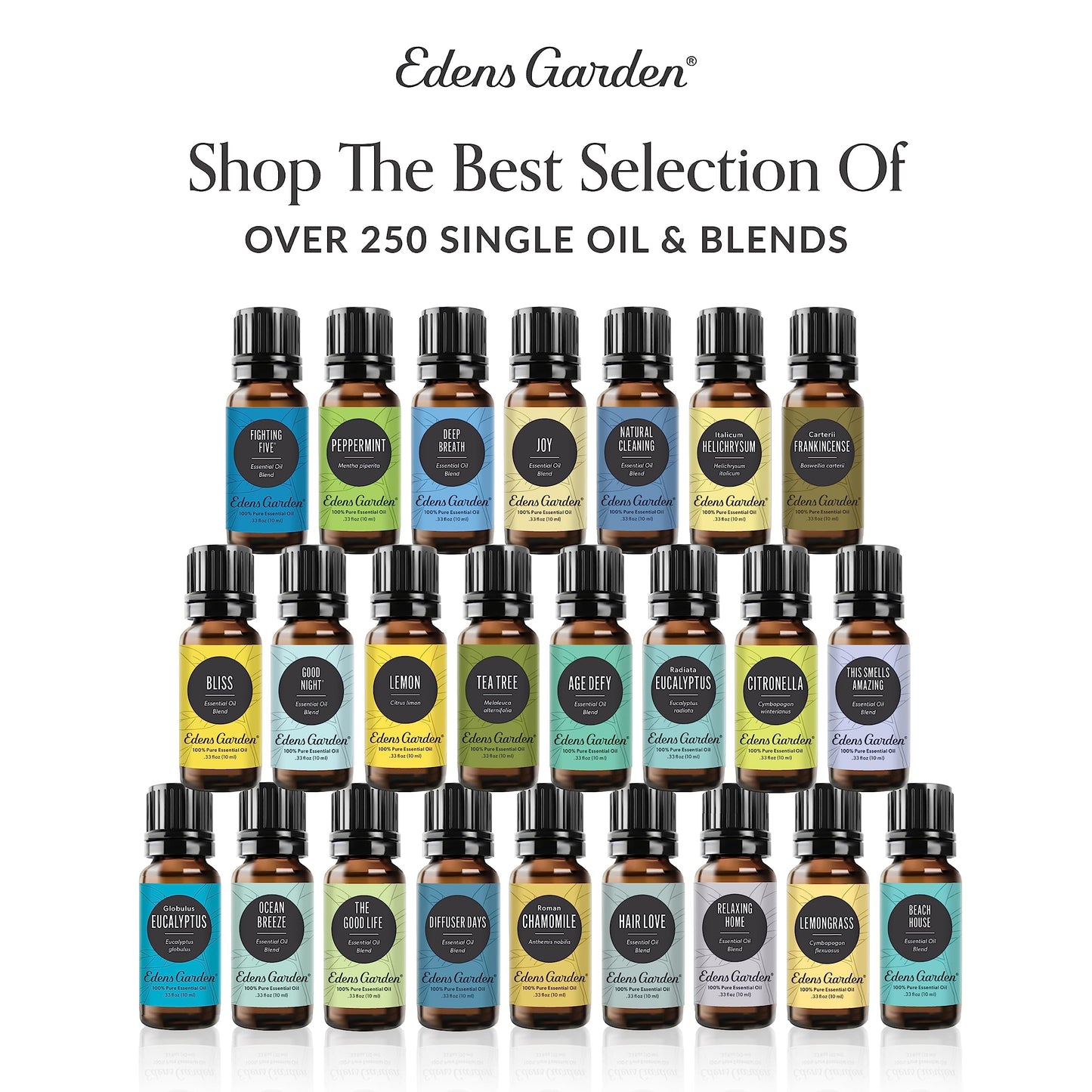 Edens Garden Tummy Essential Oil Roll-On – 100% Pure Premium Grade, Pre-Diluted 10 ml