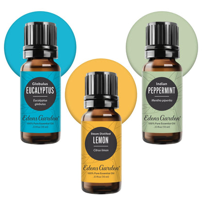 Edens Garden Essential Oils 3 Set – 10 ml Each – 100% Pure Therapeutic Grade – Eucalyptus, Lemon & Peppermint