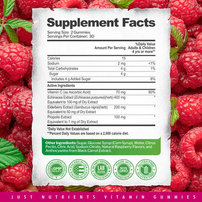 Elderberry Gummies with Vitamin C, Echinacea & Propolis (60 ct) – Immune Support – Raspberry Flavor – Gluten Free, Vegan
