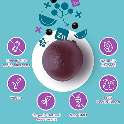 Hyland's Organic Elderberry Plus Gummies – Immune Support with Zinc & Vitamin C (60 Vegan Gummies)