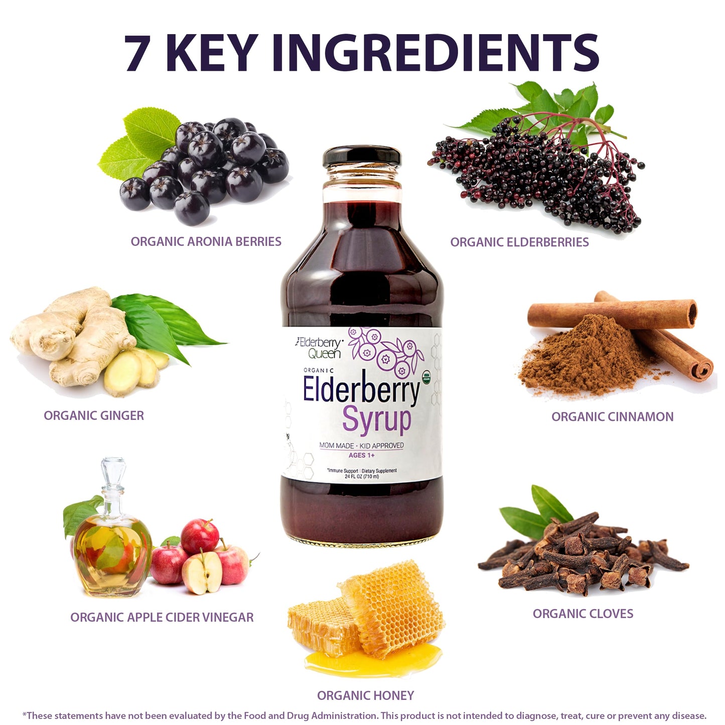 Elderberry Queen Organic Elderberry Syrup 24 Fl Oz – Sambucus Elderberry & Aronia Berry for Kids & Adults