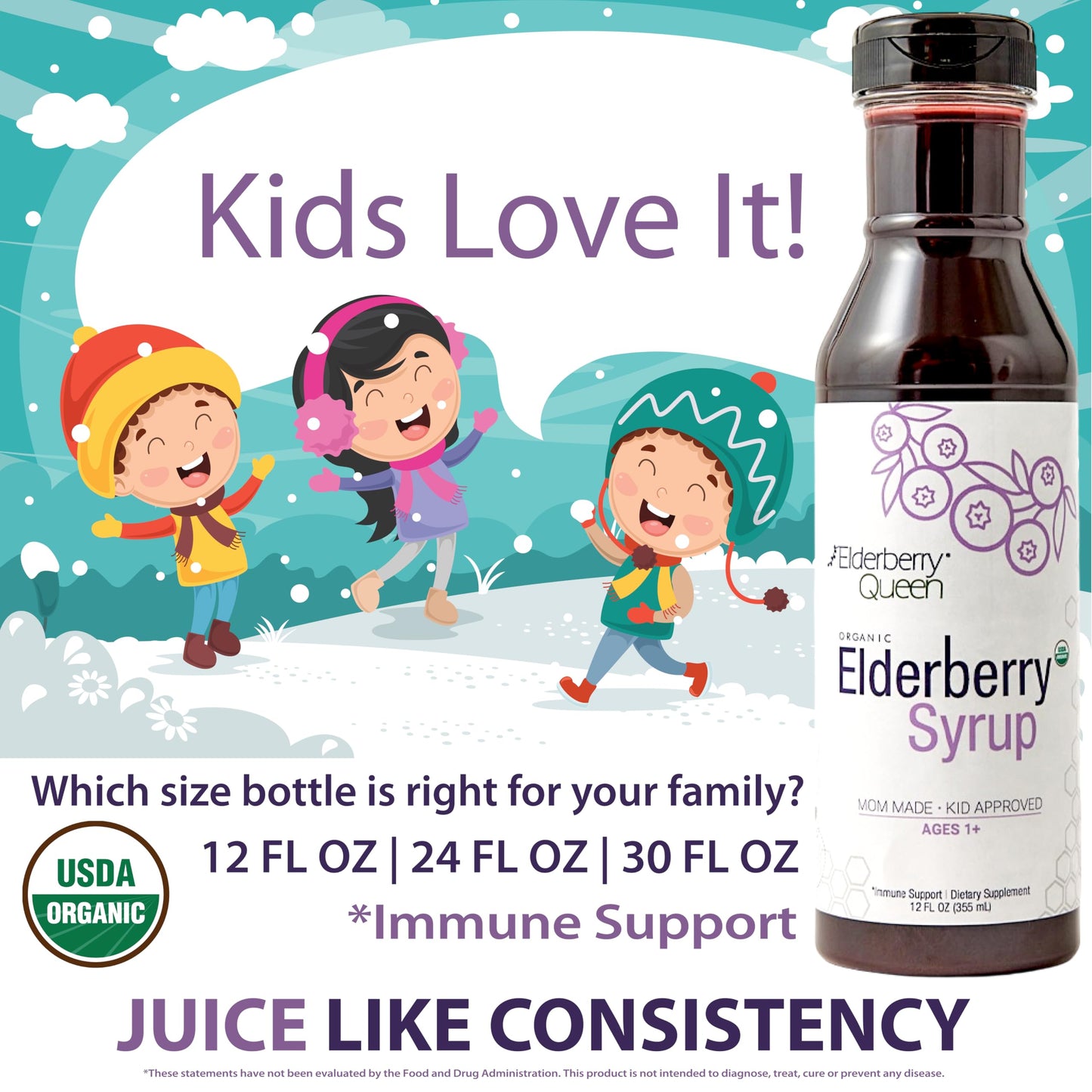 Elderberry Queen Organic Elderberry Syrup 24 Fl Oz – Sambucus Elderberry & Aronia Berry for Kids & Adults