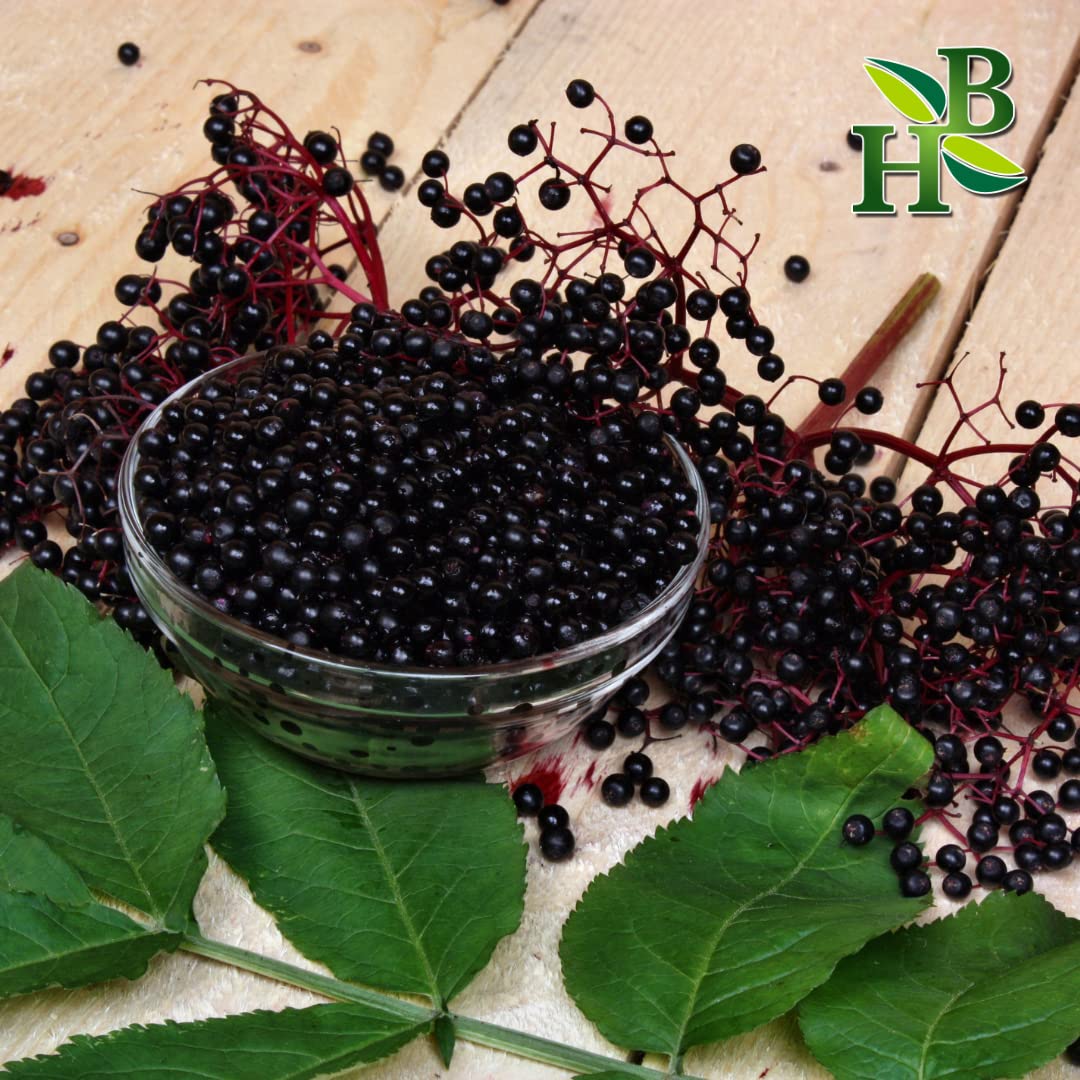Organic Elderberry Whole 4oz – Wildcrafted 2-Pack | Immune Support | Herb To Body