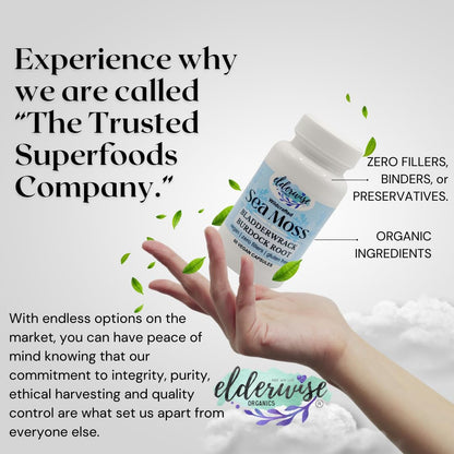 Elderwise Sea Moss Capsules 1400 mg - Burdockroot & Bladderwrack (Pack of 2)