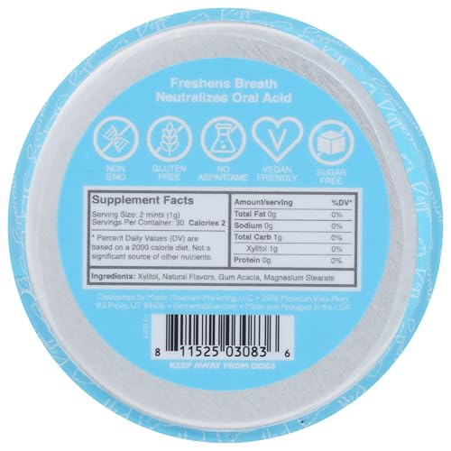 Elementa Sugar Free Breath Mints – Wintermint 44g | Low Carb, Xylitol, Non-GMO, Vegan