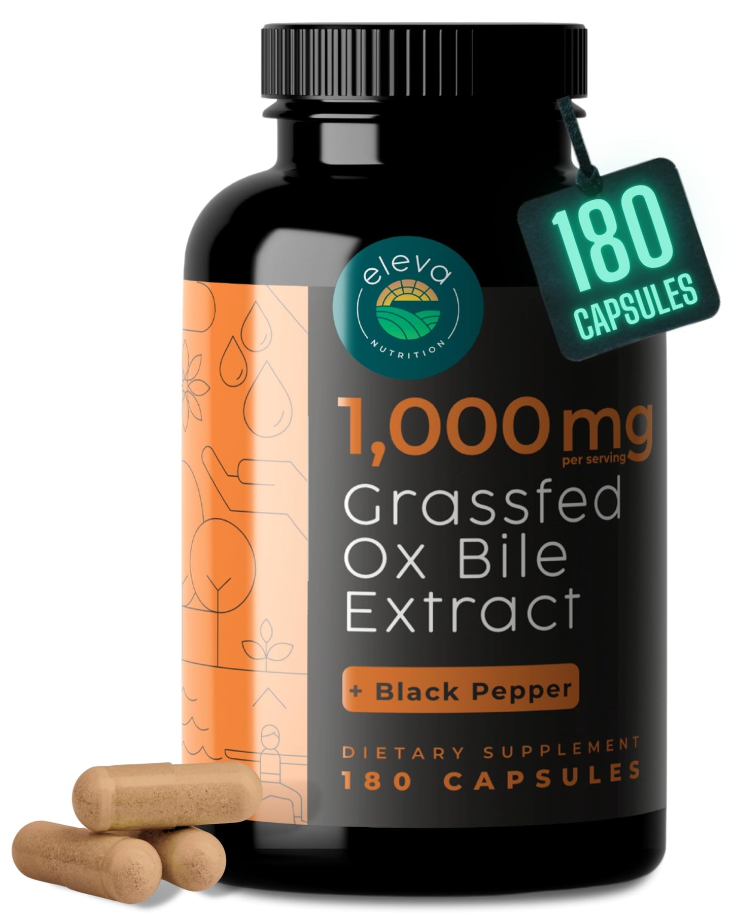 Eleva Nutrition Grass-Fed Ox Bile Extract 1000mg – 180 Capsules