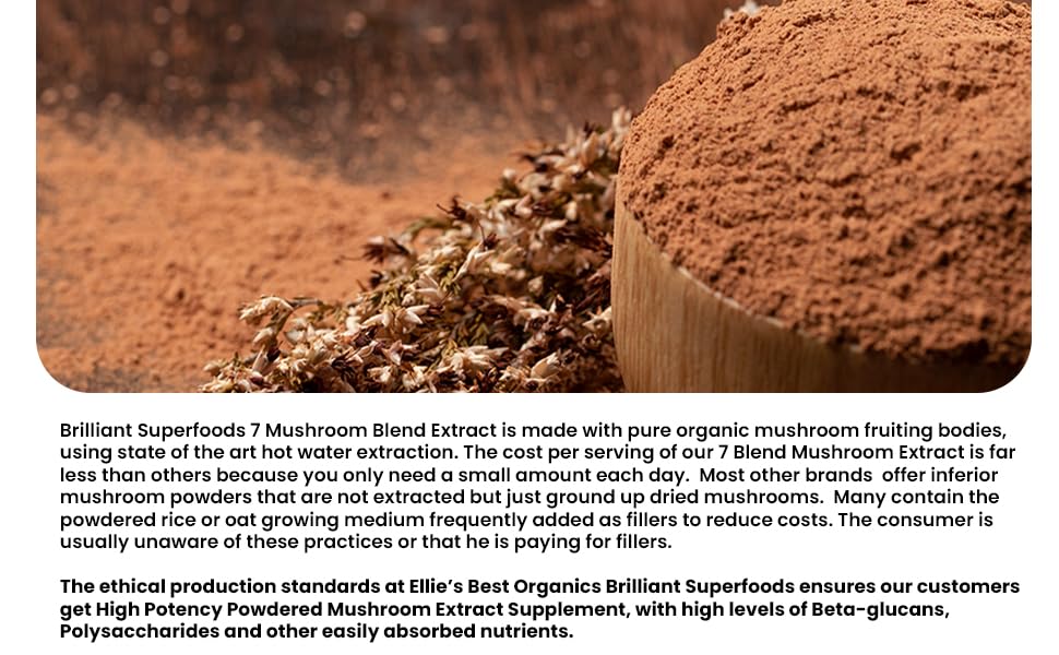 Ellie's Best 7 Mushroom Powder Extract Blend – Organic Reishi, Lion's Mane, Chaga, Turkey Tail, Cordyceps, Maitake & Shiitake – Double Extracted – 16oz / 456 Servings