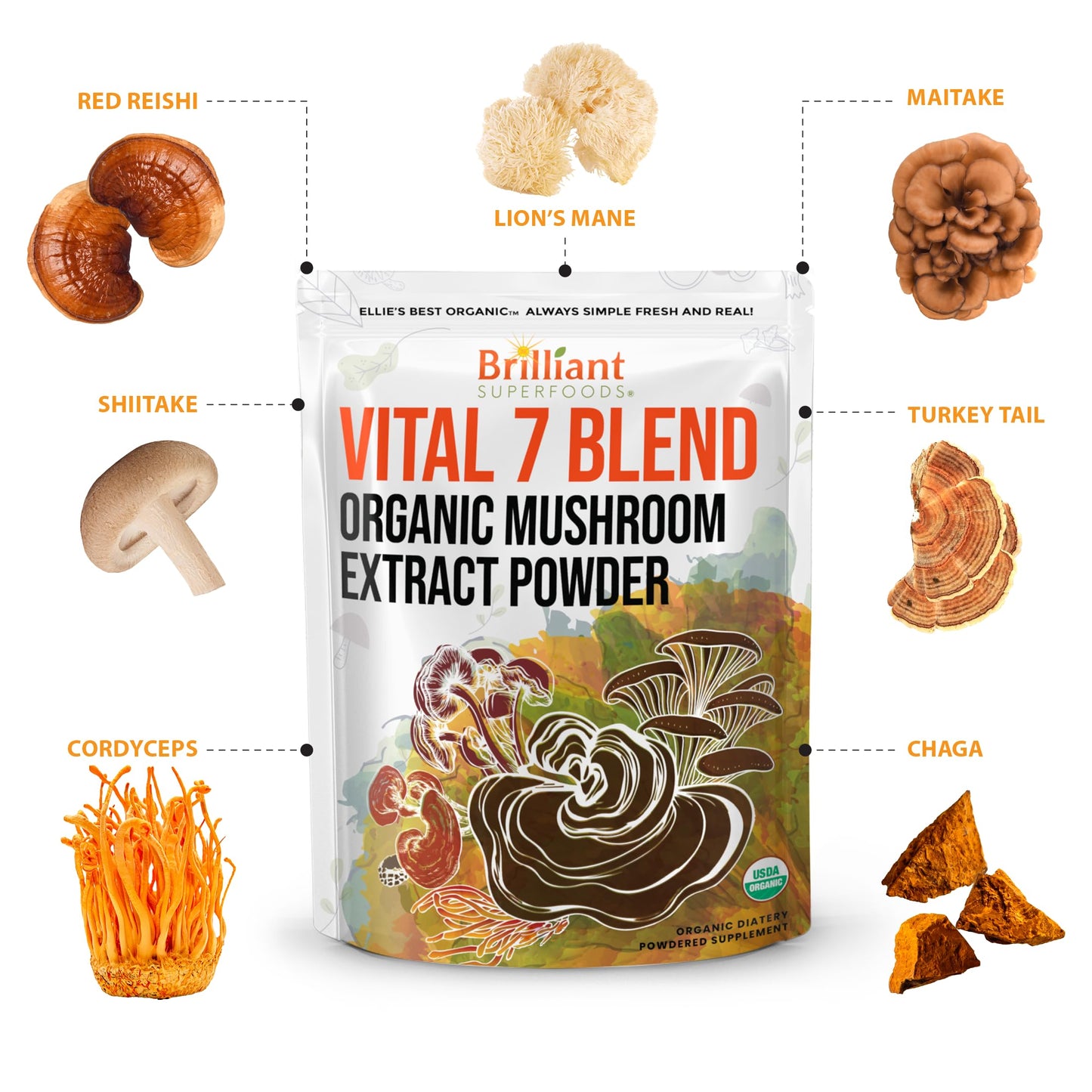 Ellie's Best 7 Mushroom Powder Extract Blend – Organic Reishi, Lion's Mane, Chaga, Turkey Tail, Cordyceps, Maitake & Shiitake – Double Extracted – 16oz / 456 Servings