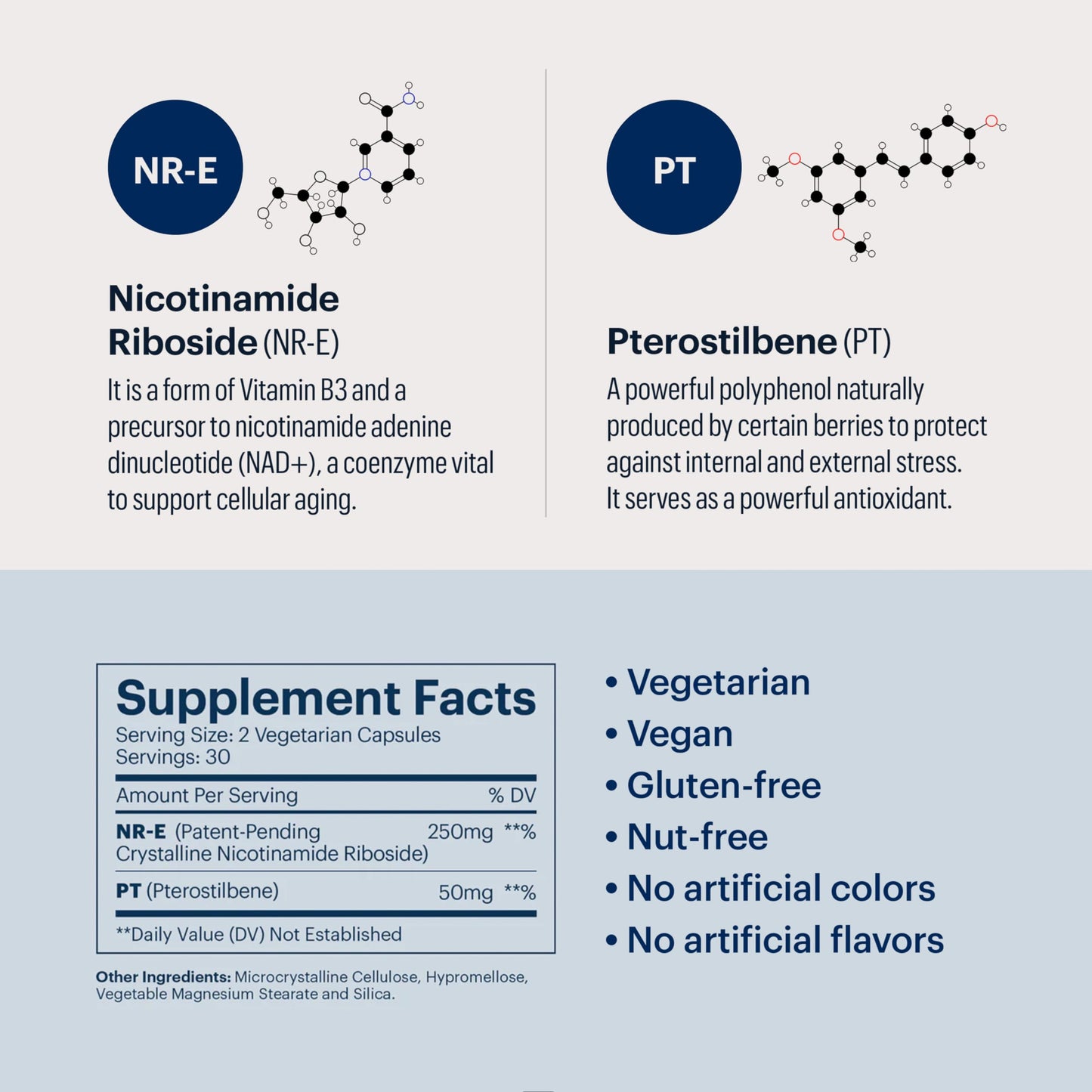ELYSIUM Basis NAD+ Supplement — 30 Servings | NR 250mg + Pterostilbene 50mg