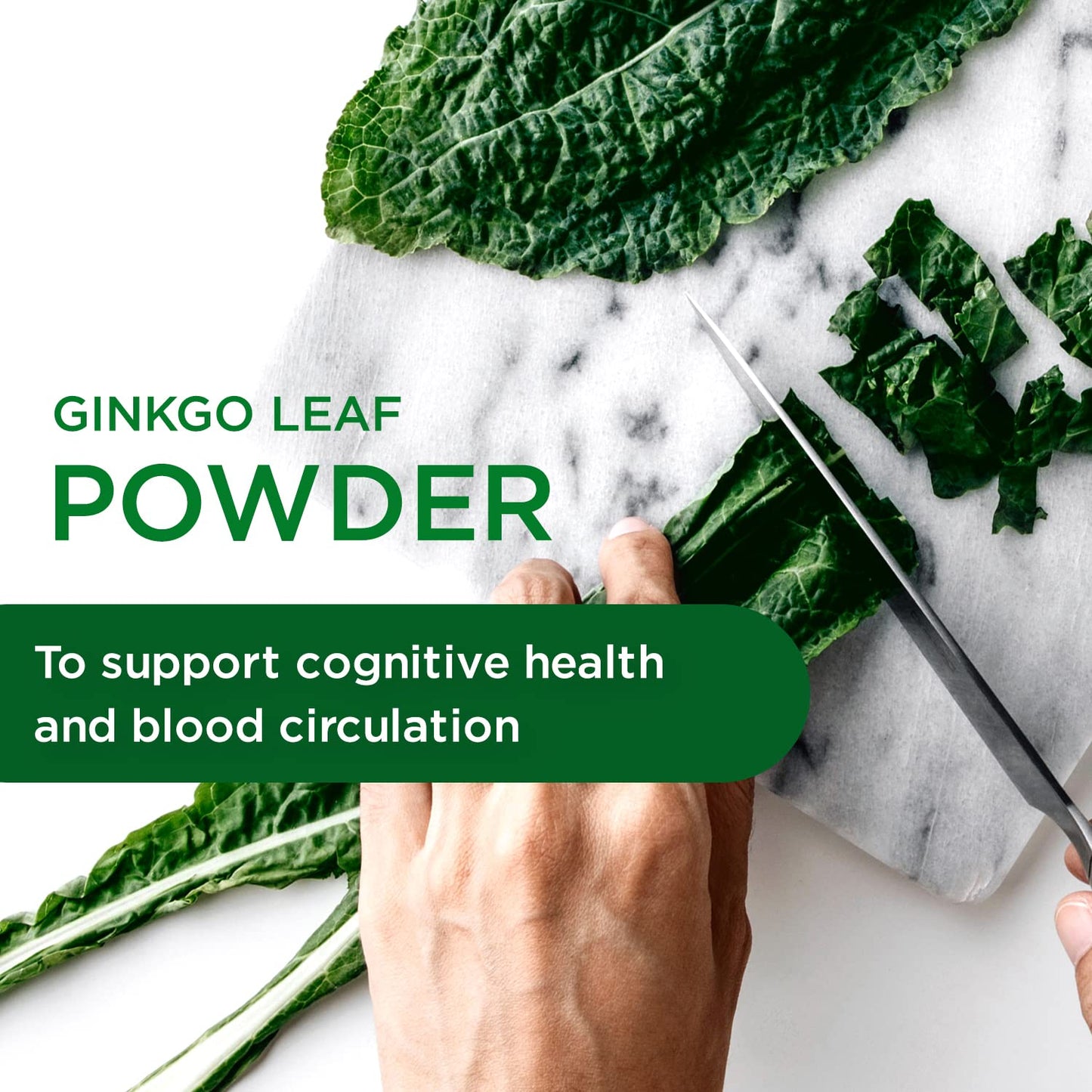 Emerald Labs Ginkgo Biloba Extract - Brain Health & Antioxidant Support - 60 Veg Capsules