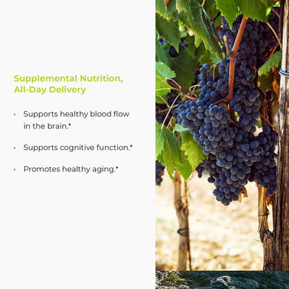 Endur Resveratrol 100mg – Healthy Aging & Cardiovascular Support (Gluten Free, 150 Tablets)
