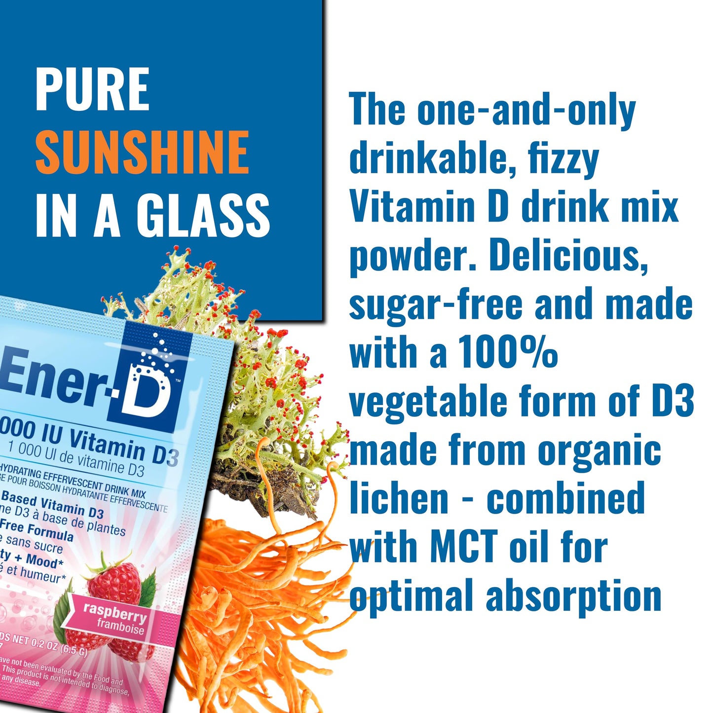Ener-D Sugar Free Multivitamin Drink Mix with Vitamin D3 - Raspberry, 24 Count