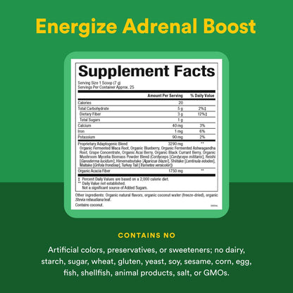 Whole Earth & Sea by Natural Factors — Energize Adrenal Boost with Maca Root & Ashwagandha, 6.2 oz Powder