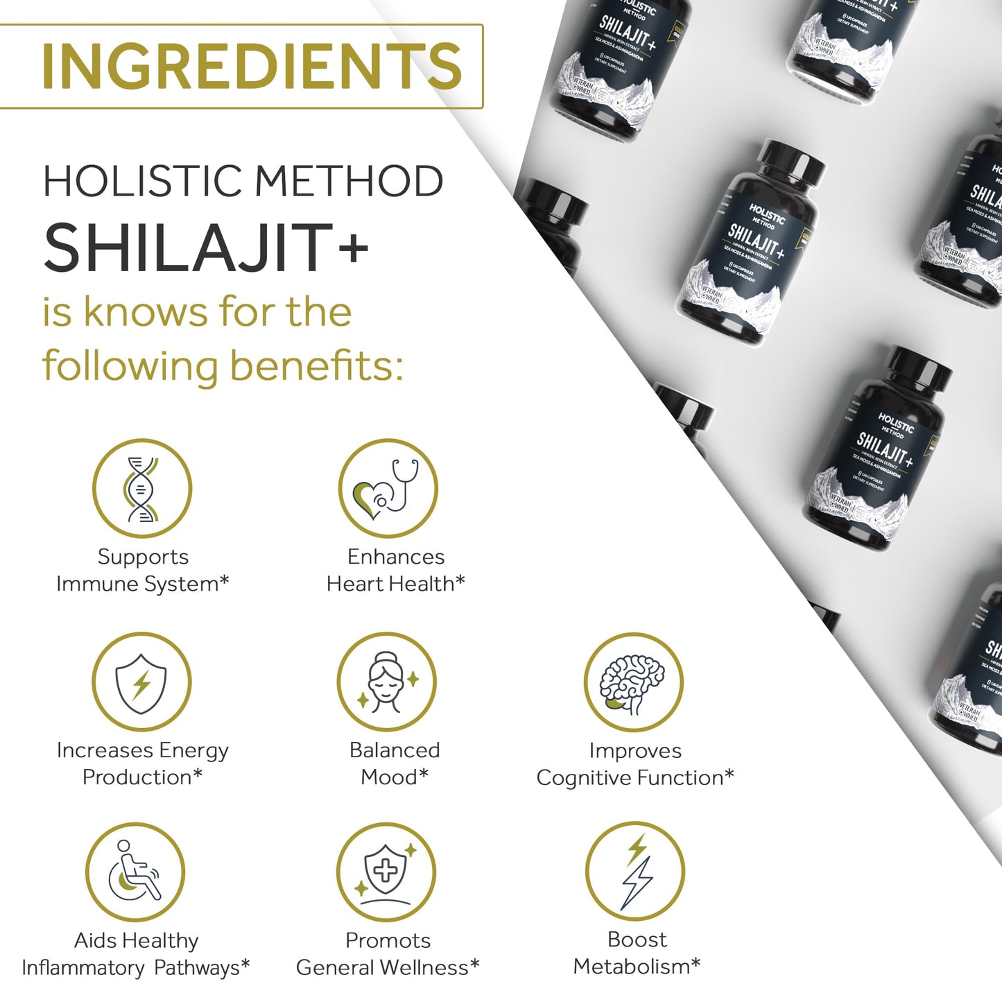 Holistic Method Shilajit Capsules - Pure Himalayan, 120 Count (Energy & Immune Support)