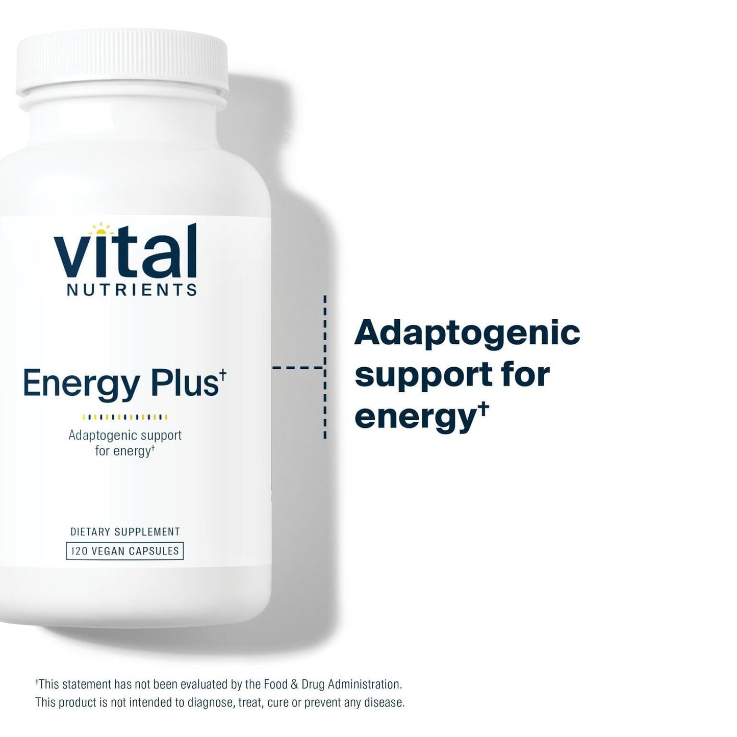Vital Nutrients Energy Plus – Nonstimulatory Herbal Energy Support | 120 Capsules