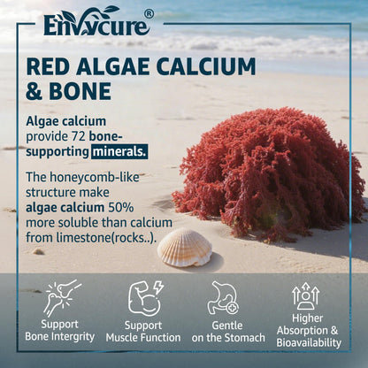 EnvyCure Calcium Gummies 600mg – Ocean Algae Calcium with Vitamin D3, K2, Magnesium | 2-Pack | Vegan, Sugar-Free