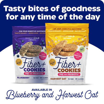 Enzymedica Digest Gold Fiber+ Cookies – Daily Prebiotic & Probiotic Fiber (Harvest Oat, Pack of 2)