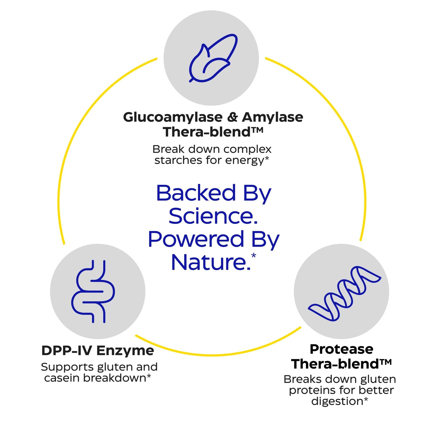 Enzymedica GlutenEase — Fast-Acting Digestive Enzymes for Gluten & Casein, 120 Capsules