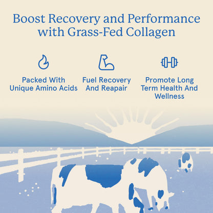 Equip Foods Grass Fed Collagen Powder – Unflavored, 30 Servings, Non-GMO