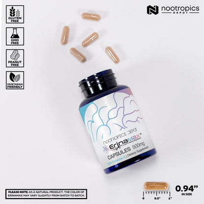 Nootropics Depot Erinamax Lion's Mane 500mg Capsules | Liquid Culture Mycelium | 2.5 mg Erinacine A | Mood, Cognition, & Nerve Support | 120 Count