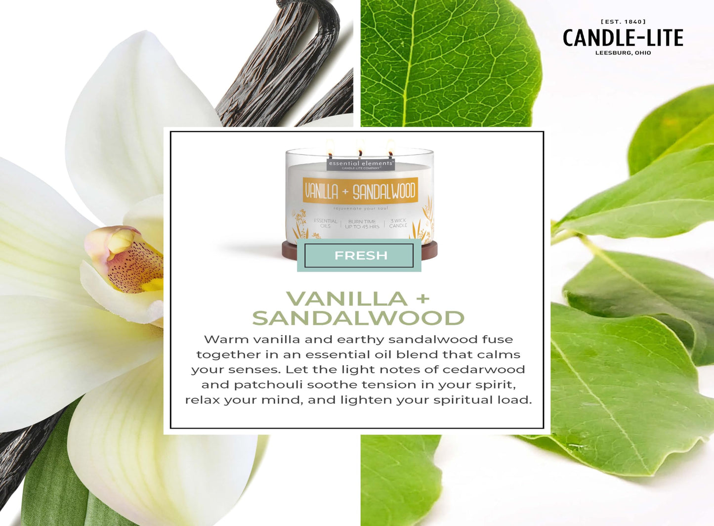 Essential Elements Vanilla & Sandalwood 3-Wick Aromatherapy Candle – 14.75 oz
