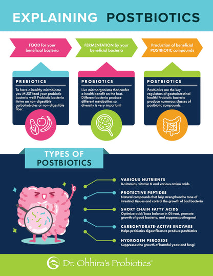 Dr Ohhira's Probiotics Original by Essential Formulas — 3-Year Fermented Prebiotics, Postbiotic Metabolites, 60 Capsules