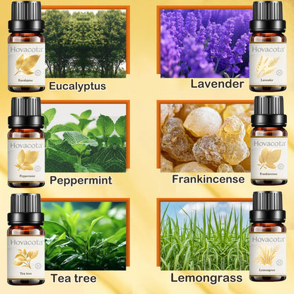 Essential Oil Set - Premium Fragrance Oils for Diffusers (6x10ml)