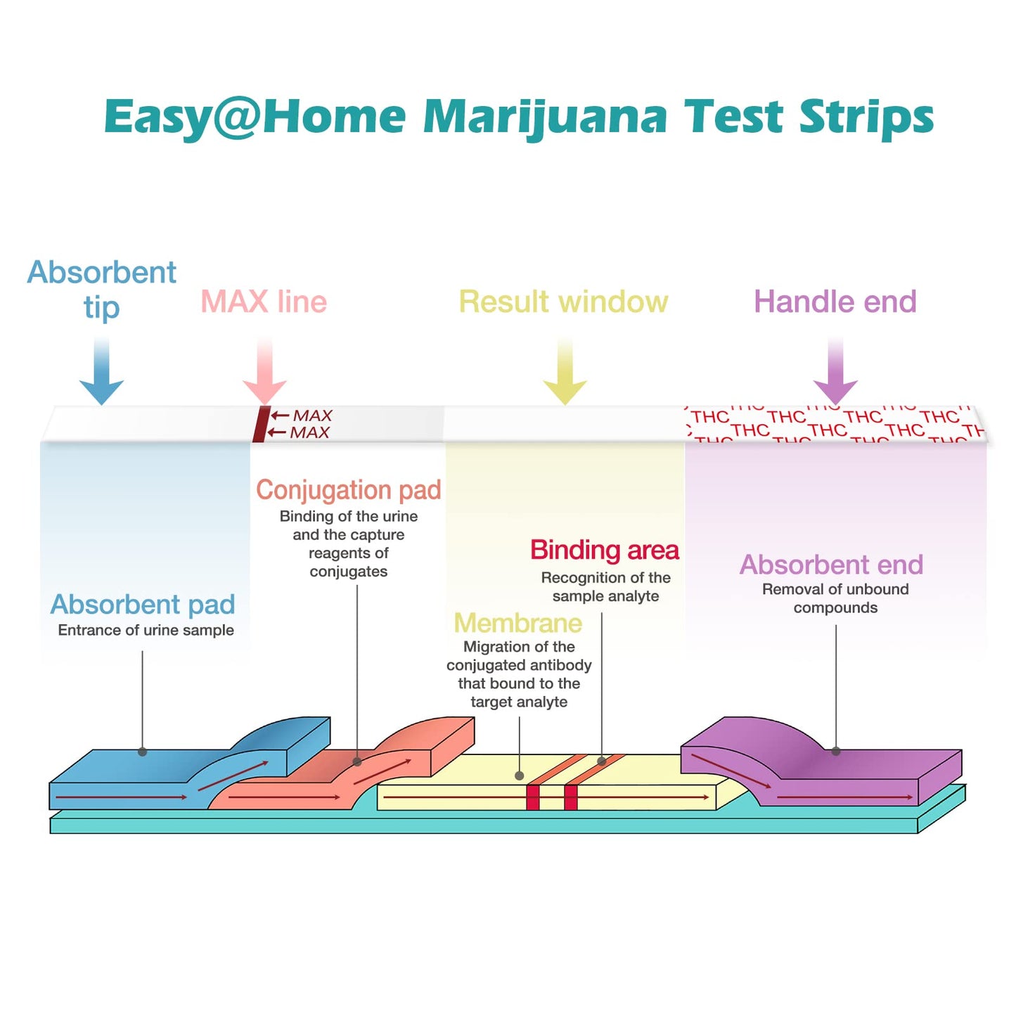 Easy@Home THC Drug Test Strips - 10 Pack Urine Test Kit (50 ng/mL) ESTH-115