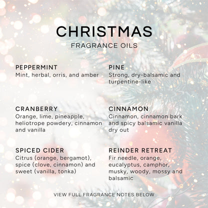Eternal Essence Oils Christmas Set of 6 Premium Fragrance Oils – 10ml