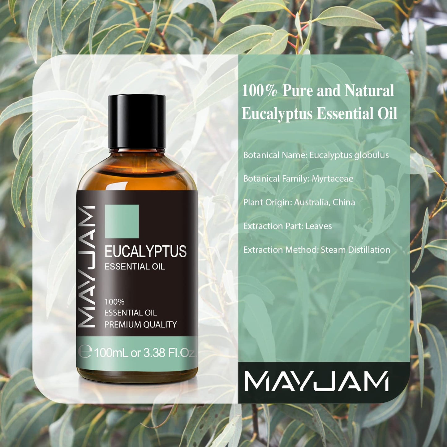 Eucalyptus Essential Oil – MAYJAM 3.38 fl oz Large Bottle Pure Essential Oil for Diffuser, Skincare & Hair Care