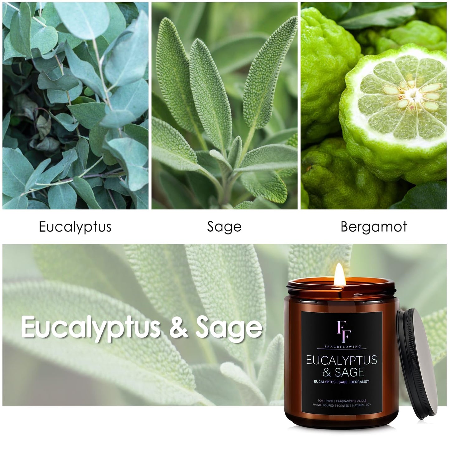 Eucalyptus & Sage Scented Candle – 7oz Soy Wax Jar, Aromatherapy Gift