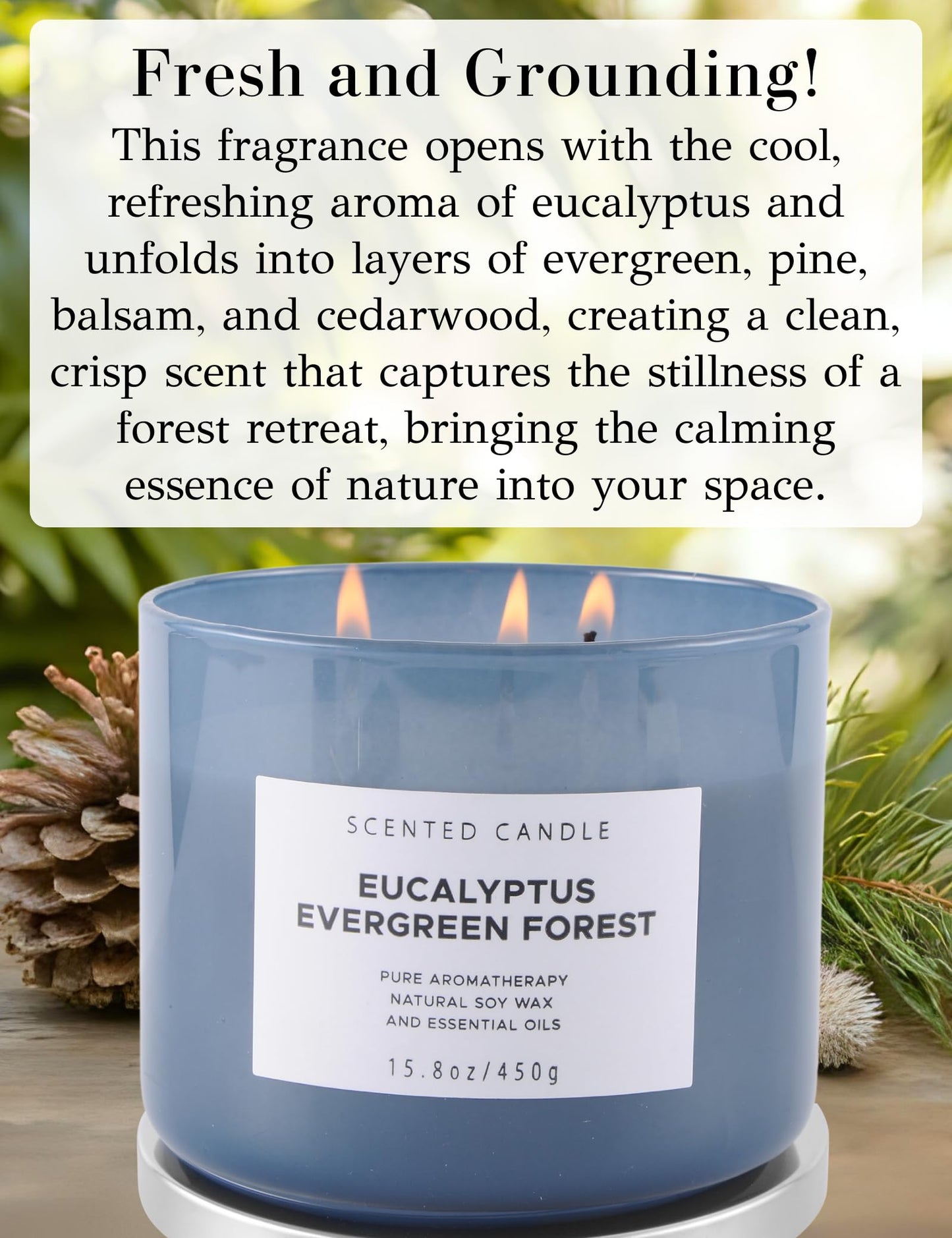Eucalyptus Evergreen Forest 3-Wick Soy Candle – 15.8 oz | Winter Pine, Balsam Fir & Evergreen Scented