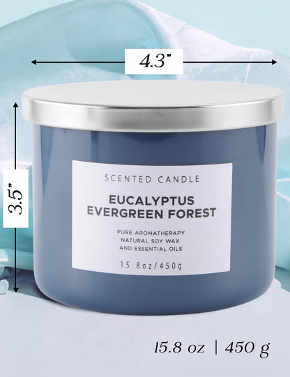 Eucalyptus Evergreen Forest 3-Wick Soy Candle – 15.8 oz | Winter Pine, Balsam Fir & Evergreen Scented