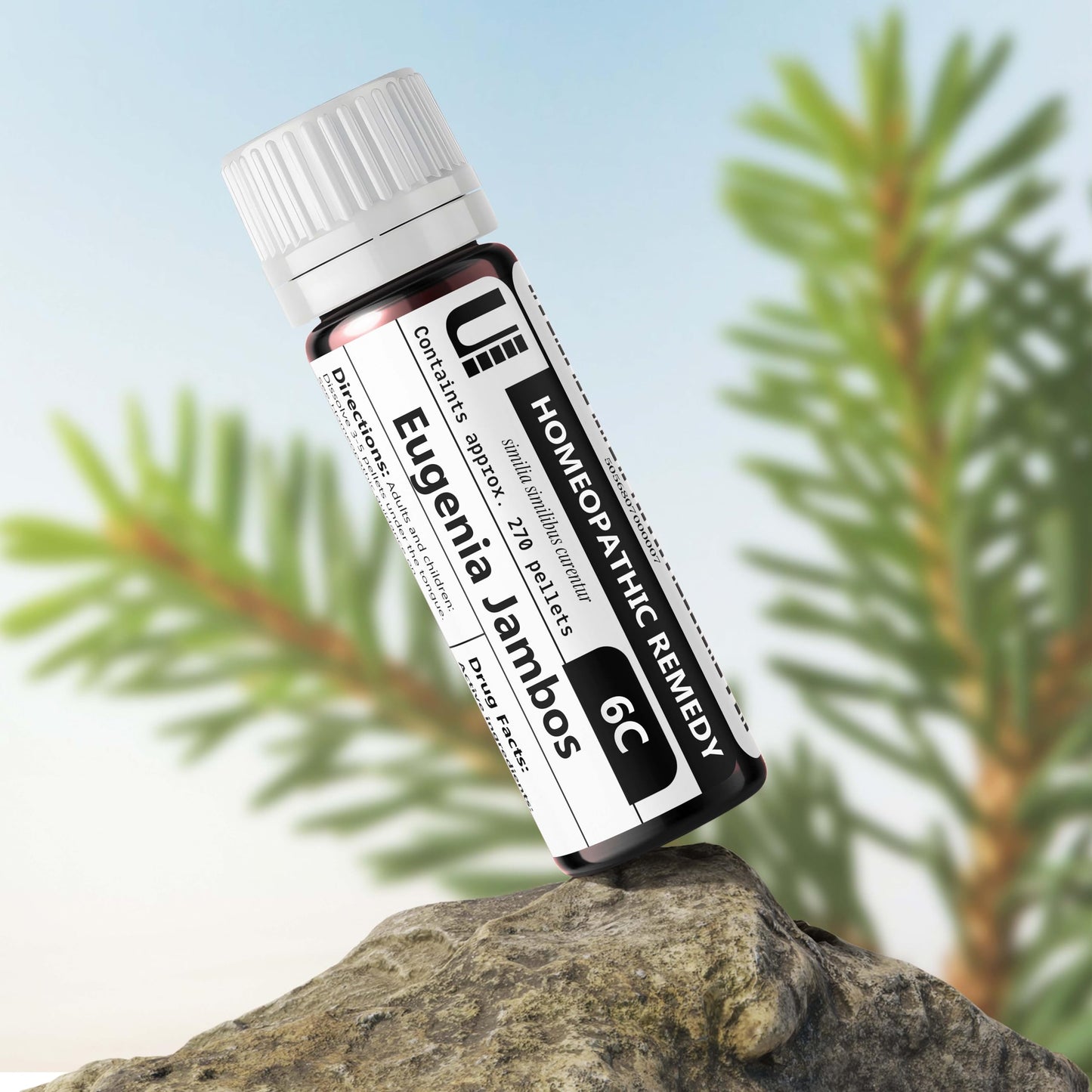 Eugenia Jambos 6C Homeopathic Remedy, 270 Pellets