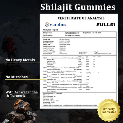 Eullsi Pure Himalayan Shilajit Gummies + Ashwagandha for Energy, Stamina & Immune Support | Vegan Non-GMO, 180 Count