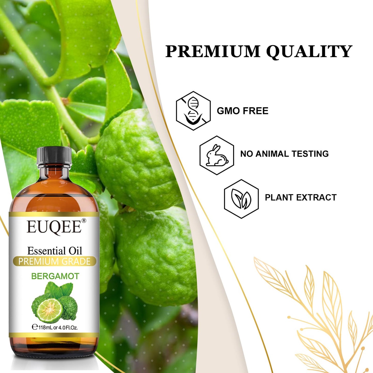 EUQEE Bergamot Essential Oil 118ml – Aromatherapy, Diffuser & Gift Box